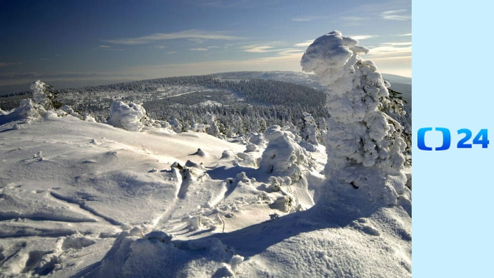 Sněhové zpravodajství