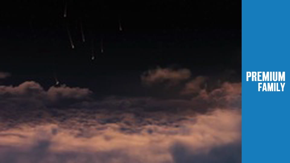 Лемоні Снікет: Тридцять три нещастя