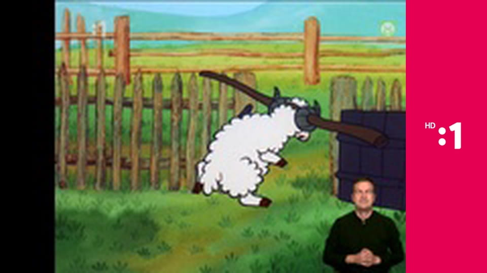 Meduška E9 - Ako Meduška zachránila chrobáčika