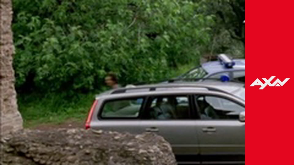 Komisař Rex S10E6 - Přetvářka