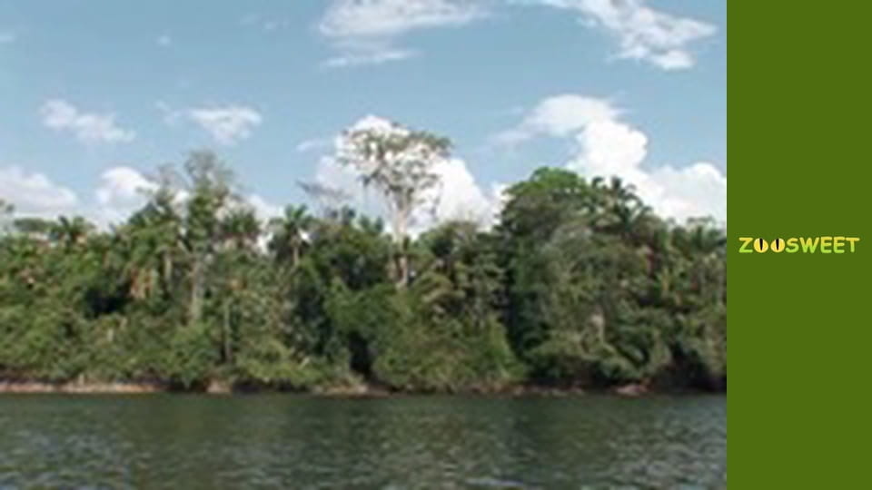 Fishing Expedition Amazonia Season 1 Episode 4