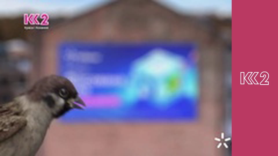 Звернення Президента України Володимира Зеленського