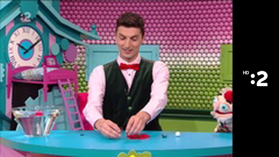 Rodinka líšok a jazvecov E47 - Tímová práca