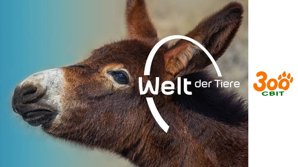 Боротьба за виживання - Пустельні спостереження – Гобійський ведмідь