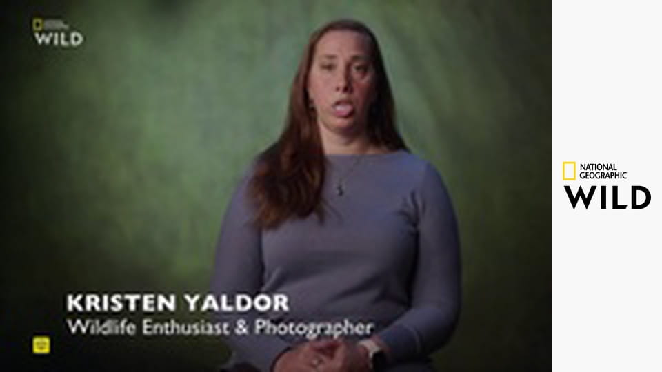 Кто-то меня укусил S1E3