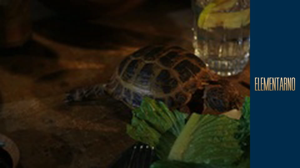 Elementary Season 5 Episode 7