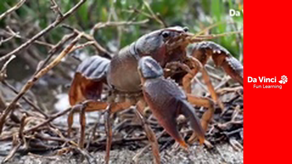 Xploration Awesome Planet - Teens Making An Impact