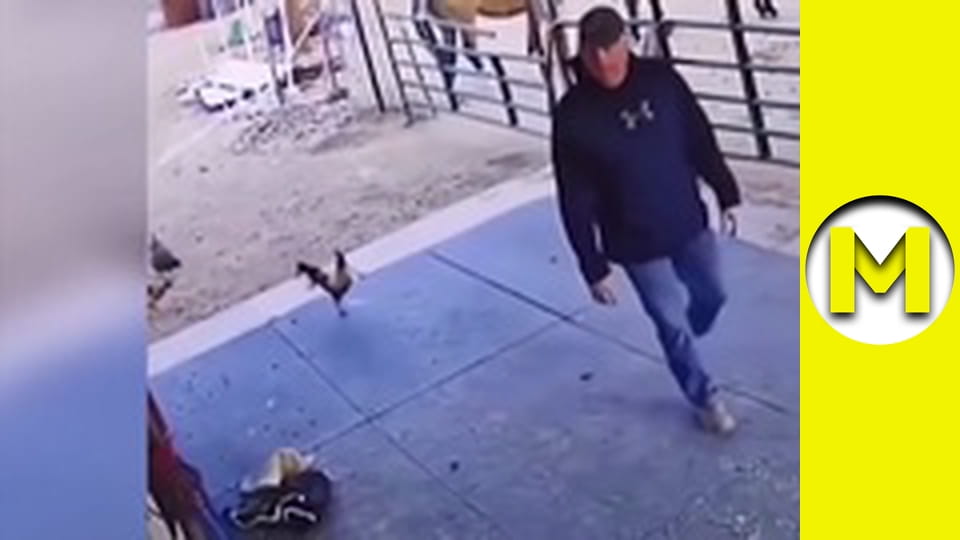 Max TV - season 1 - episode 46