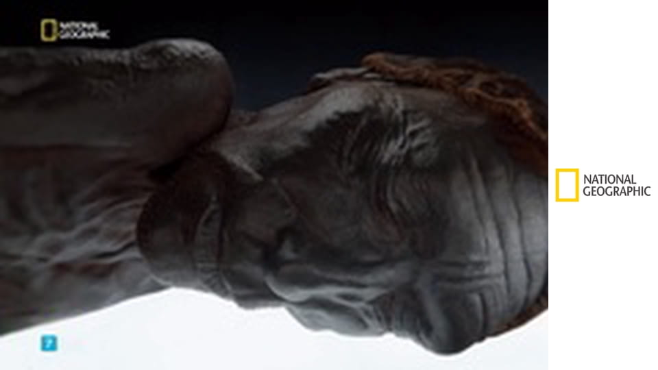 Очень странные экспонаты S3E3 - Болотная мумия, машина Абрамса и бюст Нефертити