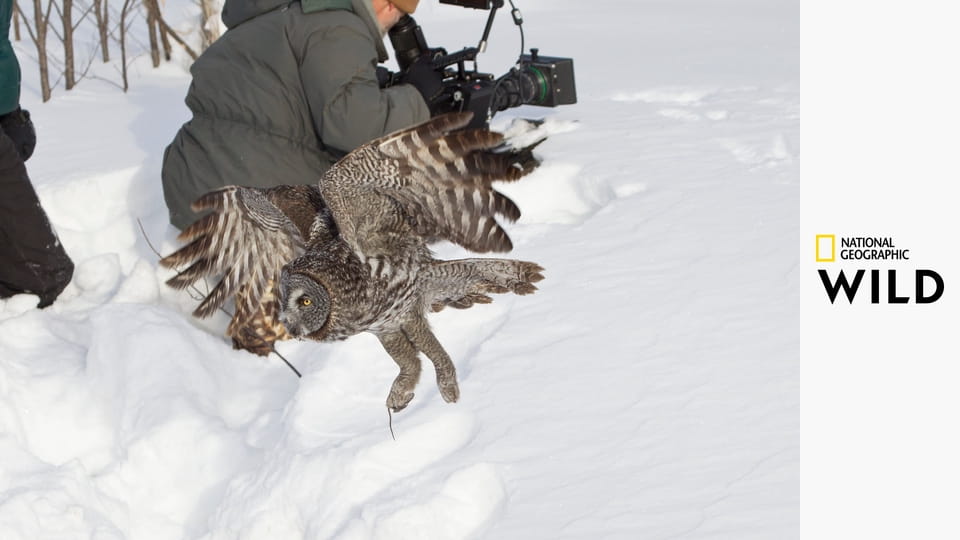 Divoká Mississippi S1E1 - Velký mráz