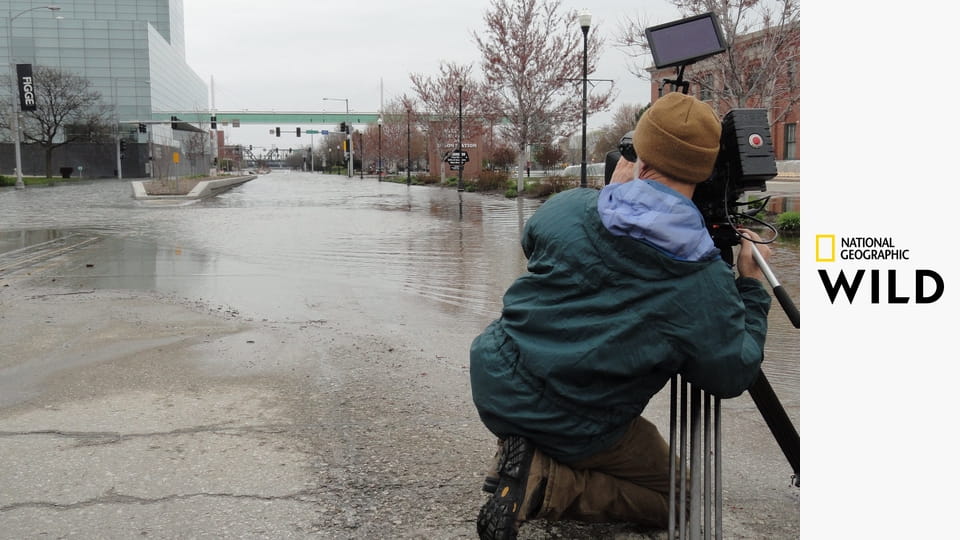 Divoká Mississippi S1E1 - Velký mráz