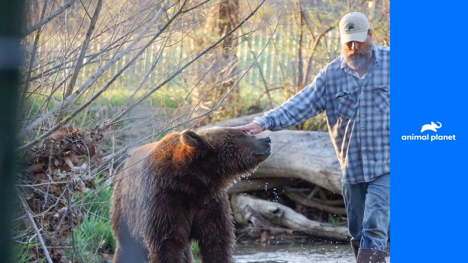 Projekt Grizzly S1E4 - Medvede na úteku
