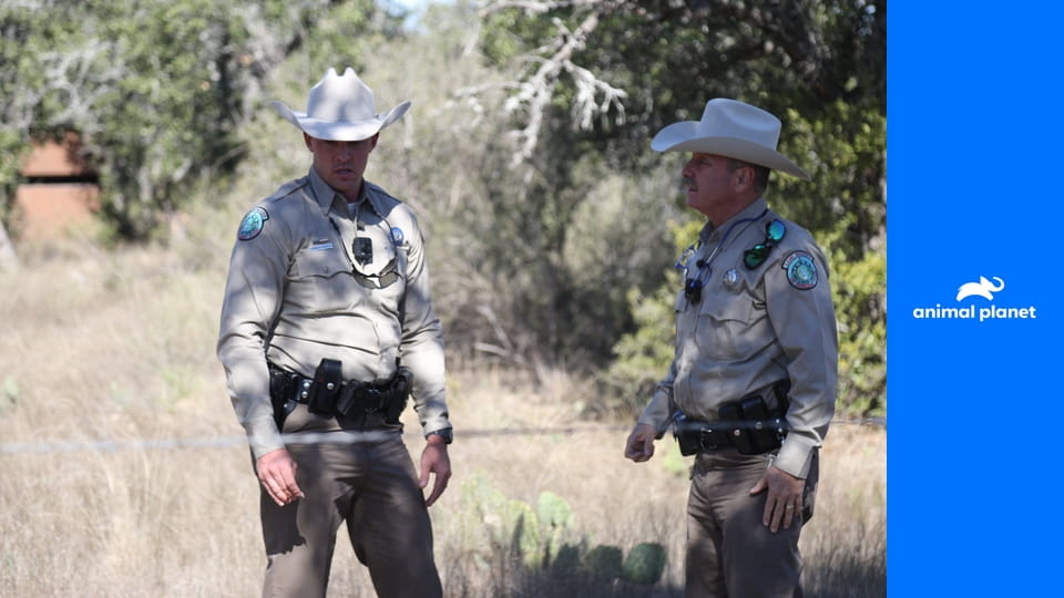 Zákon v Texase S1E8 - Aligátor verzus pes