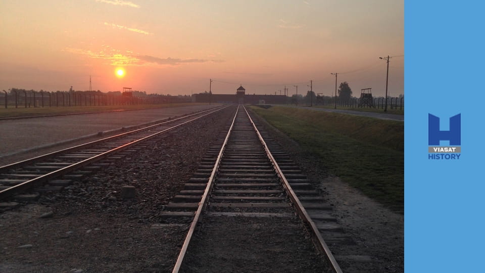 Jeden den v Osvětimi