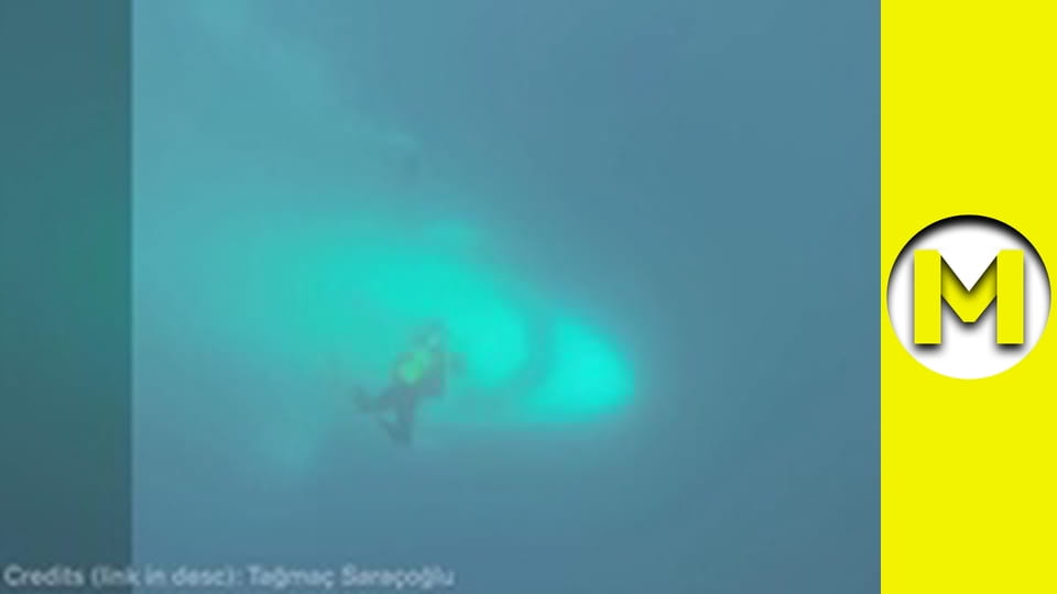 Max TV - season 1 - episode 127