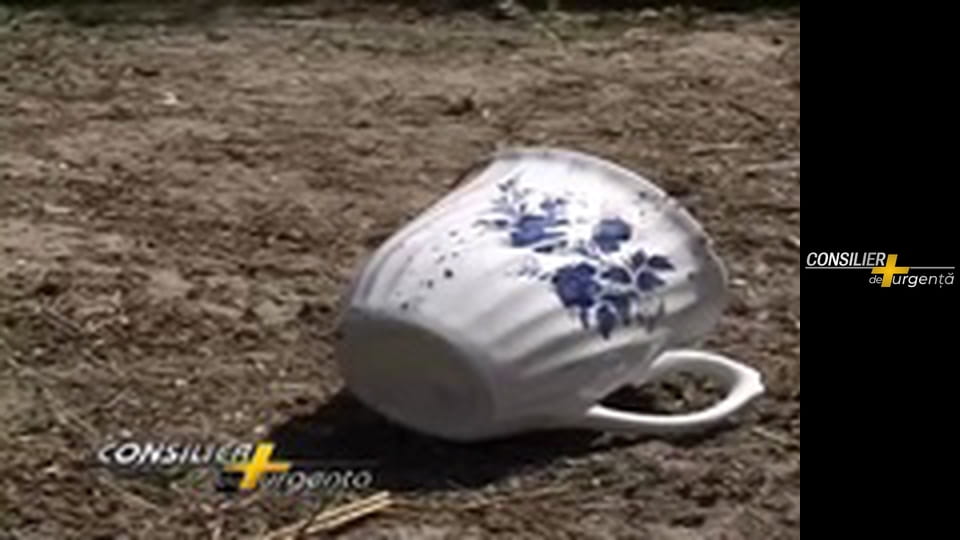 Consilier de urgență - Episodul 13