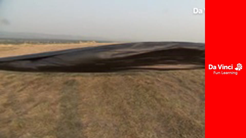 DIY SCI - Backyard Science