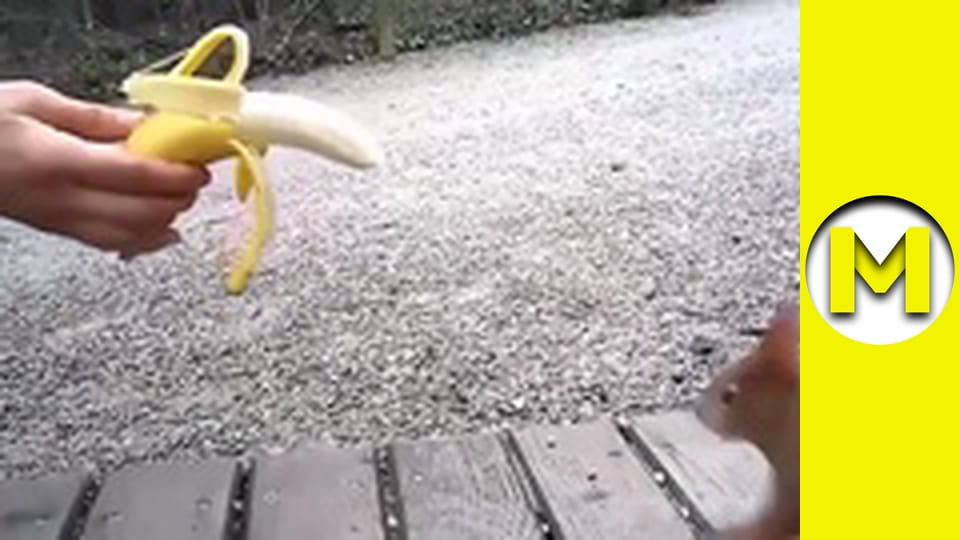 Max TV - season 1 - episode 68