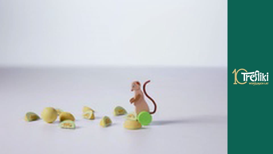 Bobaski i Miś Sezon 5 Odcinek 24