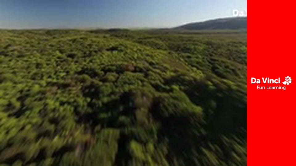 Siyaya - Vad Fokföld - De Hoop - A remény helye