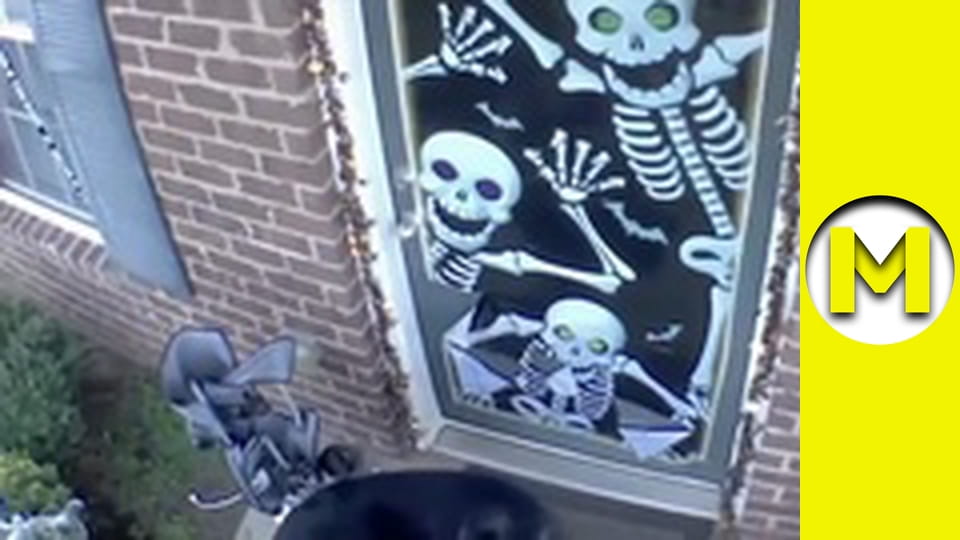 Max TV - season 1 - episode 84