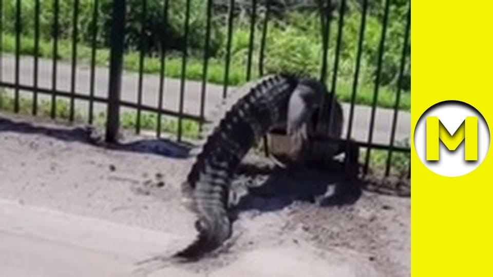 Max TV - season 2 - episode 23