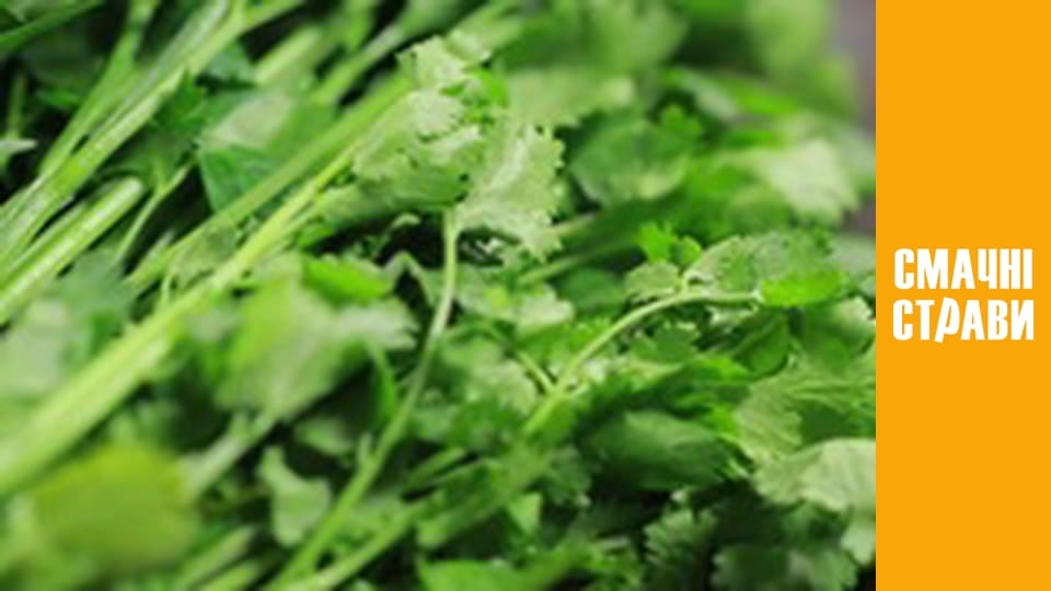 Pro  Salad - Series 11