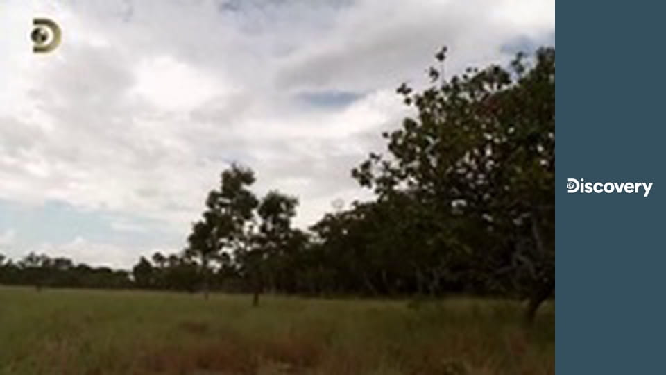 Голые и напуганные S2E1 - На грани безумия