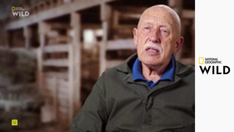 Невероятный доктор Пол S24E2