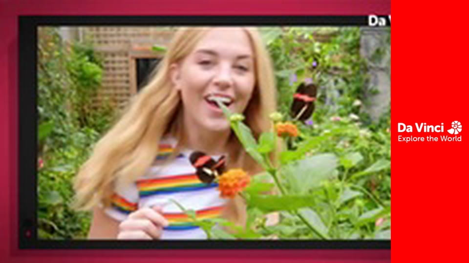 Știi oare? - Radiatorul și norii și ploaia