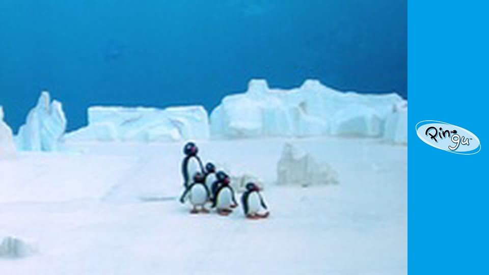 Pingu Řada 2 Epizoda 22