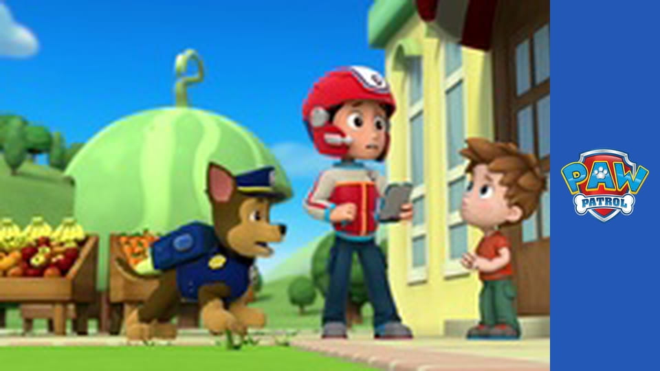 Psi Patrol Sezon 1 Odcinek 16