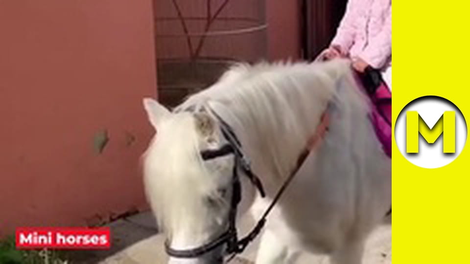 Max TV - season 1 - episode 34