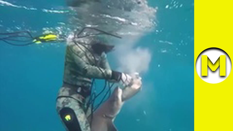 Max TV - season 1 - episode 44