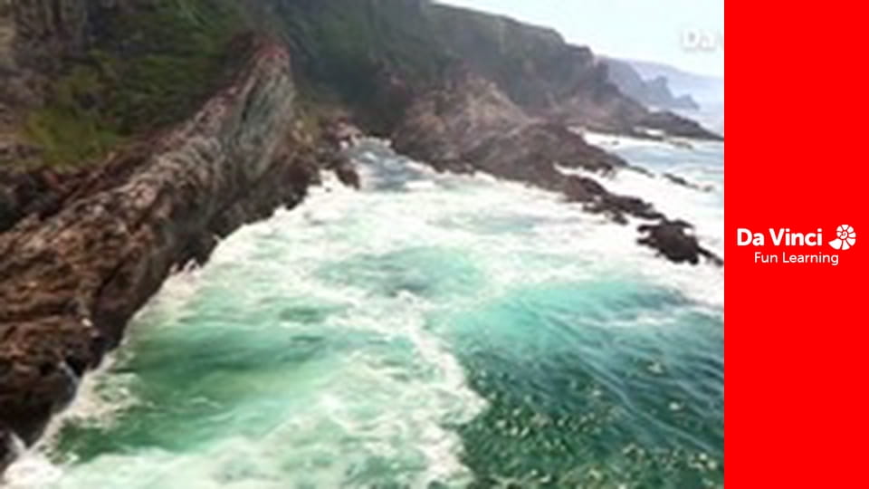 Siyaya - Come Wild With Us - The Enchanted Forest