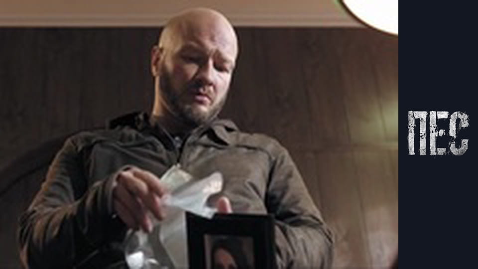 Пёс, Сезон 5, Серия 15