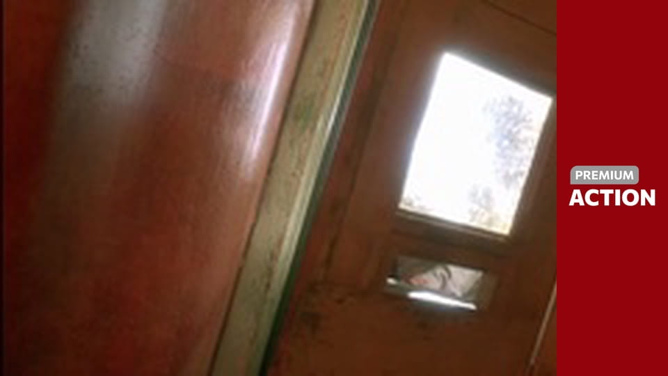 Natural Born Killers