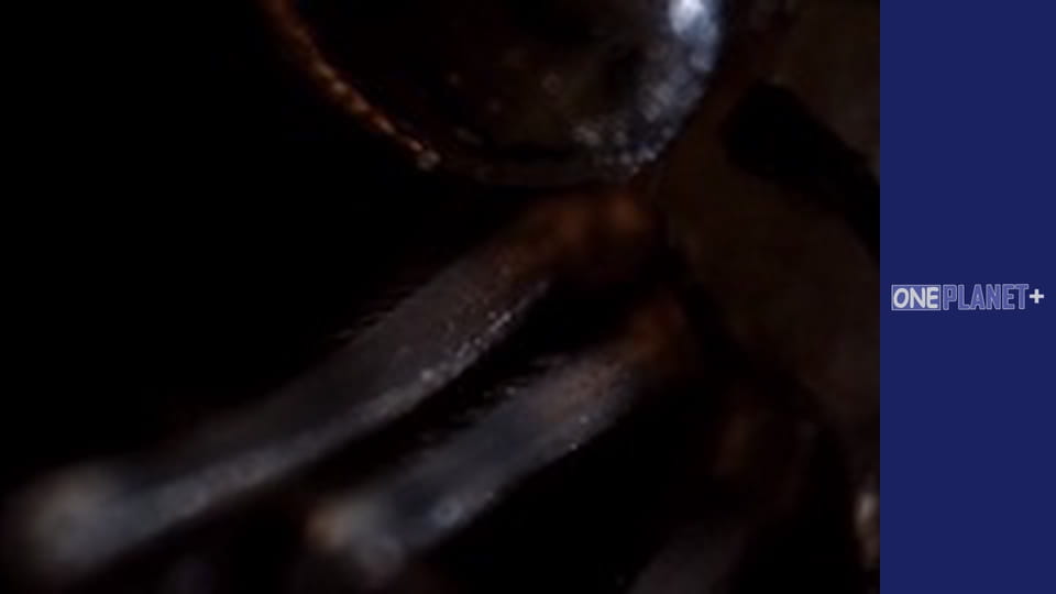 В поисках знаний. - cерия 13