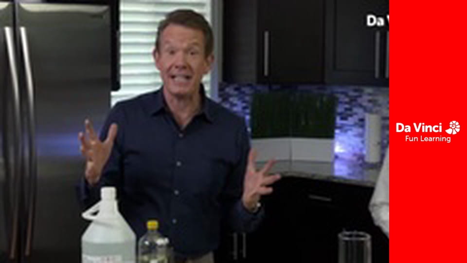 Domowa nauka - Miss Ameryki