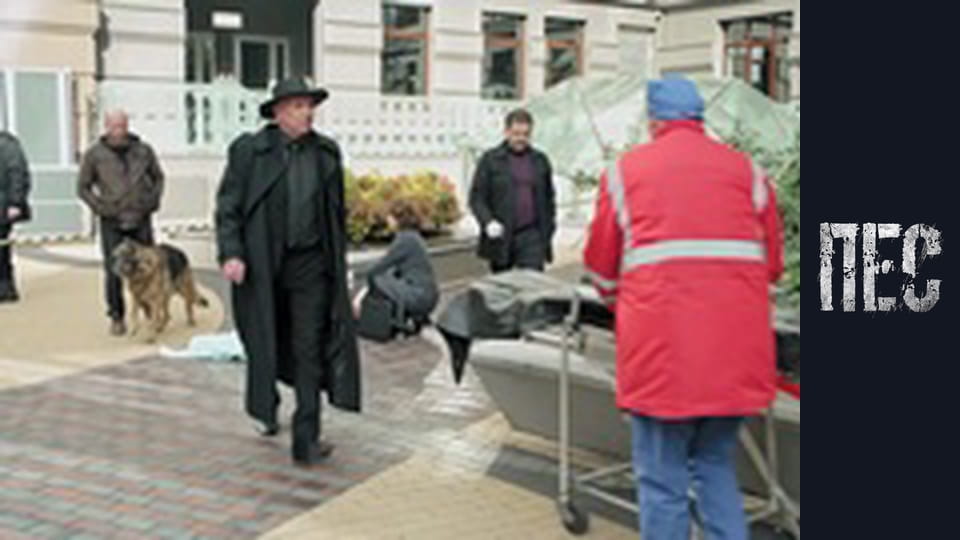 Dog, Season 6, Episode 13