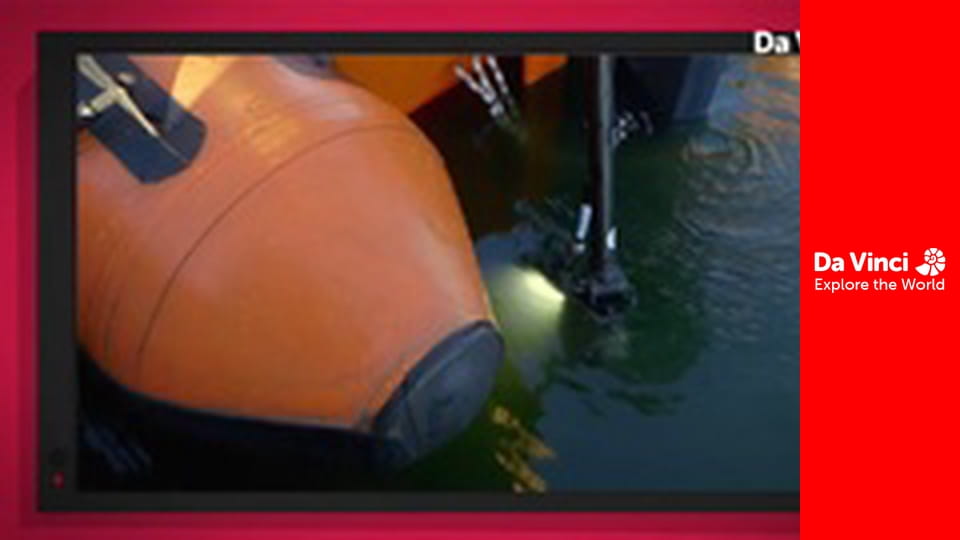 Do You Know? - Eggs & Bread