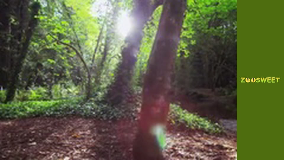 Super flair - episode 7