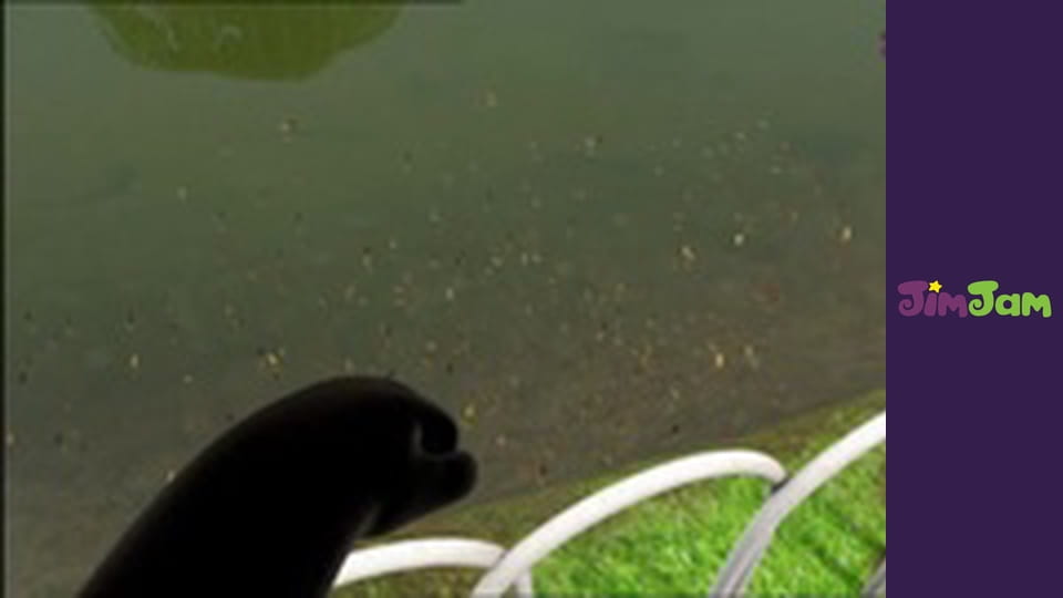 Bing Bunny S1E6 - Smoothie