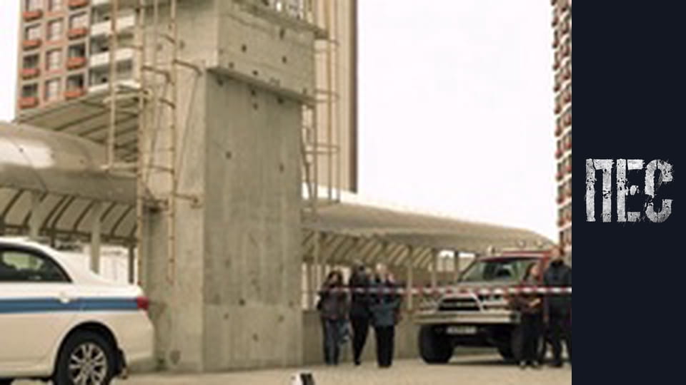 Dog, Season 3, Episode 24