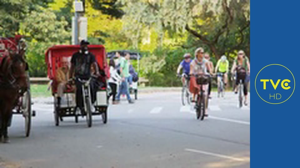 Najgroźniejsi kierowcy świata E8