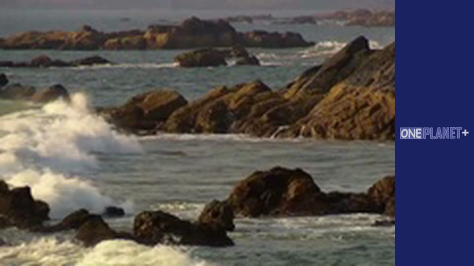 Railway Stories - series 7