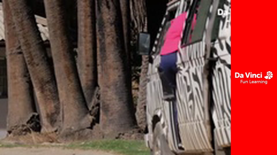 Siyaya - Sălbăticia din Cape - West Coast - Spre Insula Păsărilor