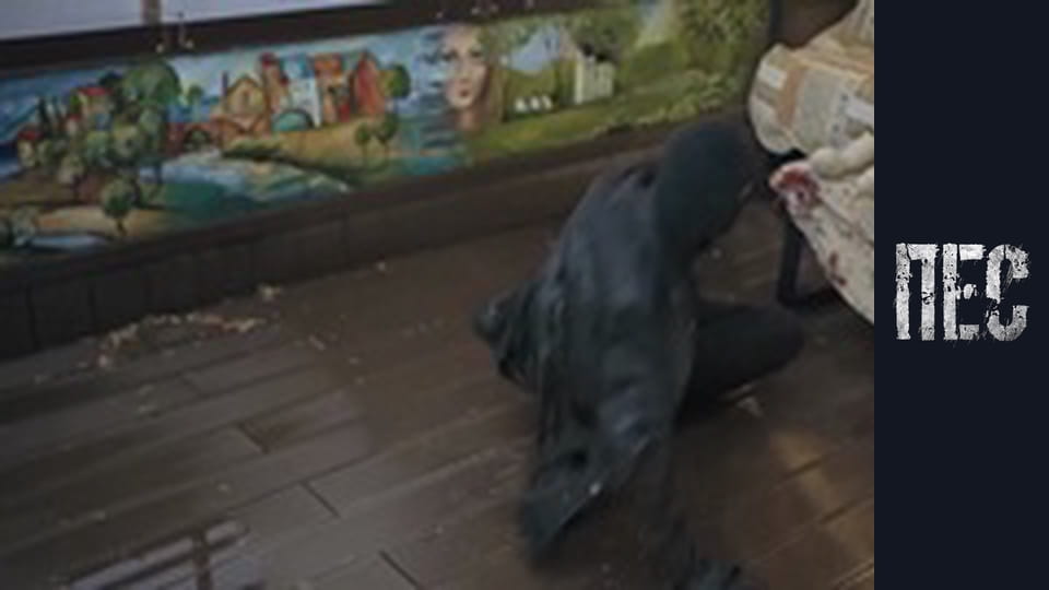 Пес, Сезон 6, Серія 15