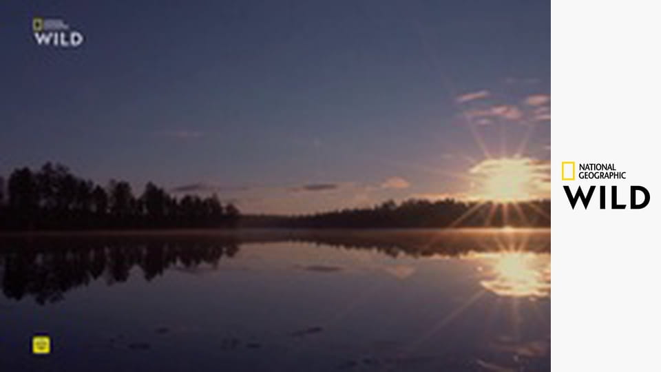 Земля пиренейской рыси S1E1 - Зима