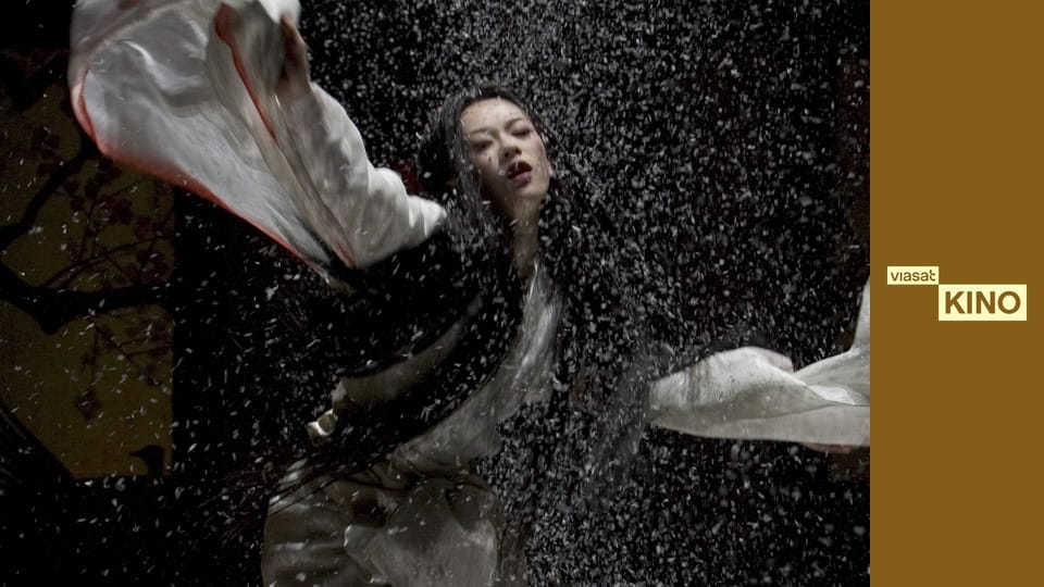 Мемуари гейші